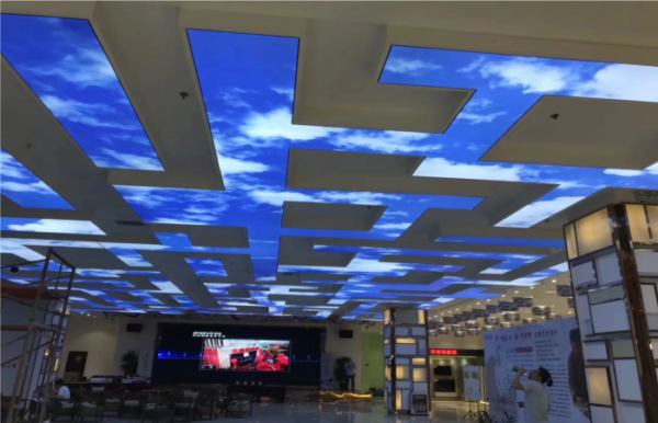 3D Customized STRETCH CEILING