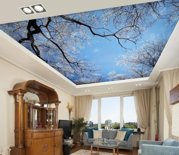 UV PRINTED STRETCH CEILING