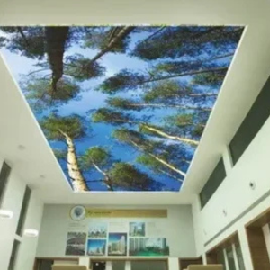 Stretch Ceiling Manufacturer